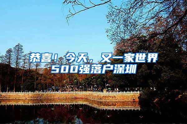 恭喜!今天,又一家世界500强落户深圳