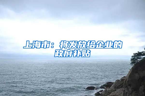 上海市：将发放给企业的政府补贴