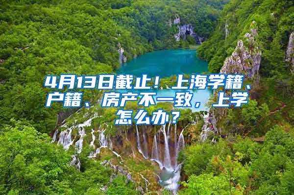 4月13日截止!上海学籍、户籍、房产不一致,上学怎么办?
