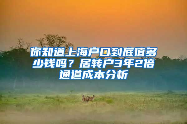 你知道上海户口到底值多少钱吗?居转户3年2倍通道成本分析