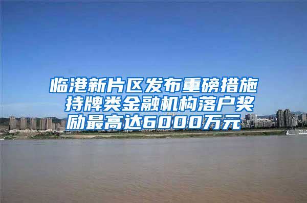 临港新片区发布重磅措施 持牌类金融机构落户奖励最高达6000万元