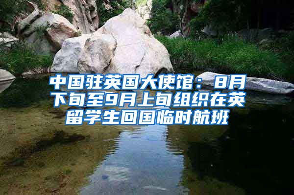 中国驻英国大使馆:8月下旬至9月上旬组织在英留学生回国临时航班