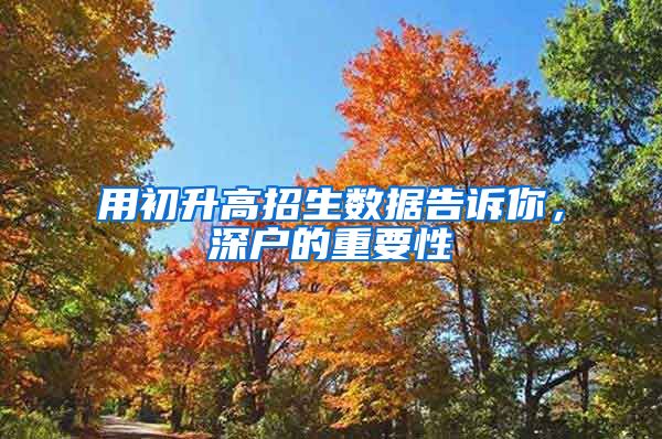 用初升高招生数据告诉你,深户的重要性