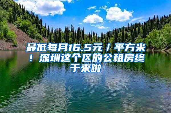 最低每月16.5元／平方米！深圳这个区的公租房终于来啦