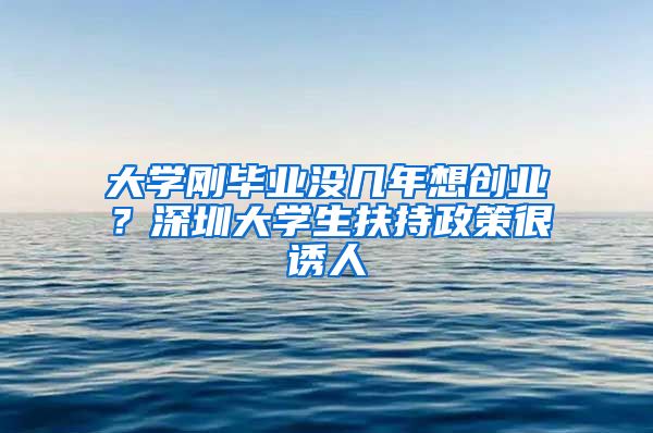 大学刚毕业没几年想创业？深圳大学生扶持政策很诱人
