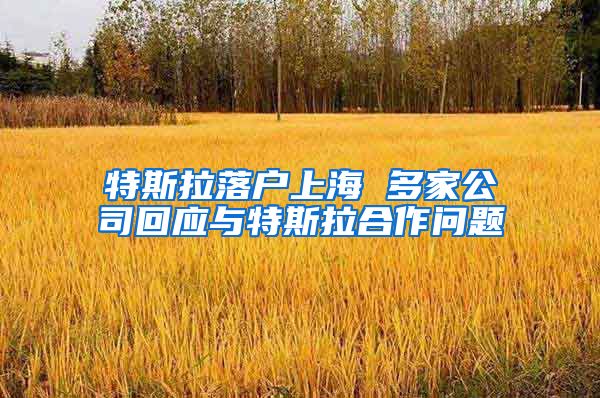 特斯拉落户上海 多家公司回应与特斯拉合作问题