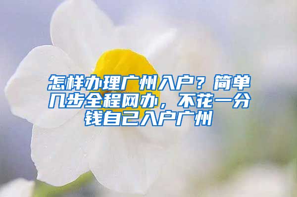 怎样办理广州入户？简单几步全程网办，不花一分钱自己入户广州