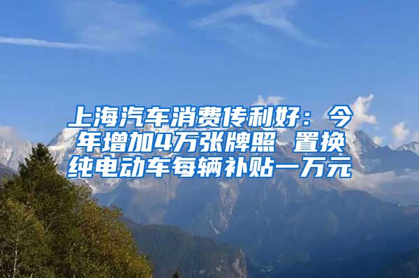 上海汽车消费传利好：今年增加4万张牌照 置换纯电动车每辆补贴一万元