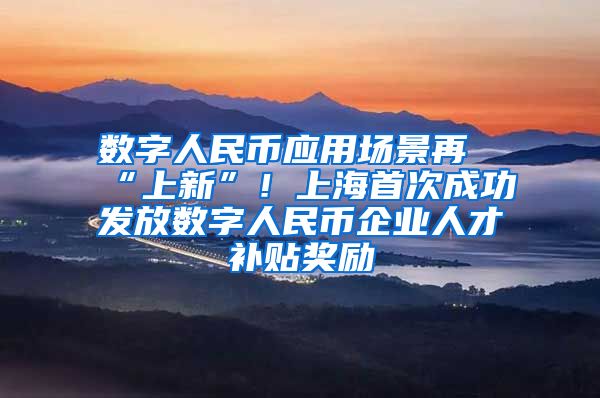 数字人民币应用场景再“上新”！上海首次成功发放数字人民币企业人才补贴奖励