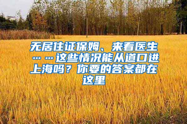 无居住证保姆、来看医生……这些情况能从道口进上海吗？你要的答案都在这里