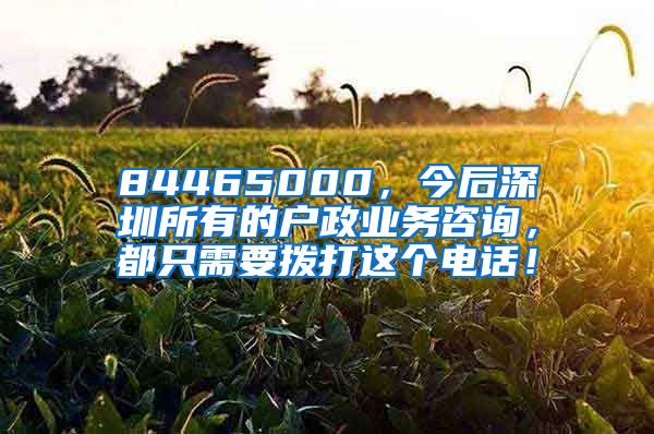 84465000，今后深圳所有的户政业务咨询，都只需要拨打这个电话！