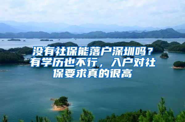 没有社保能落户深圳吗?有学历也不行,入户对社保要求真的很高