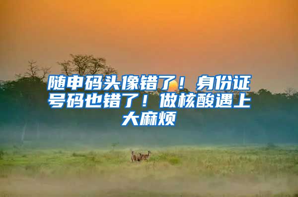 随申码头像错了!身份证号码也错了!做核酸遇上大麻烦
