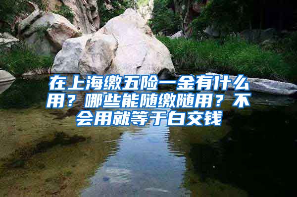 在上海缴五险一金有什么用？哪些能随缴随用？不会用就等于白交钱