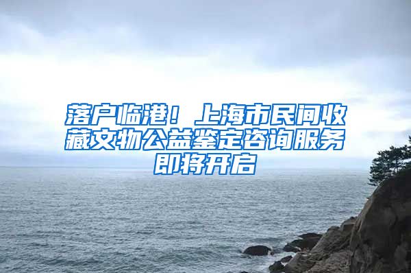 落户临港！上海市民间收藏文物公益鉴定咨询服务即将开启