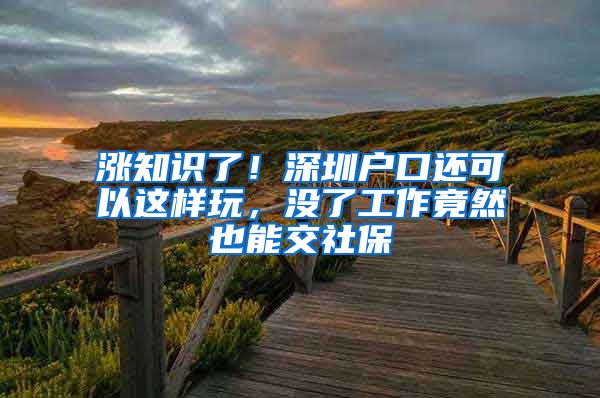 涨知识了!深圳户口还可以这样玩,没了工作竟然也能交社保