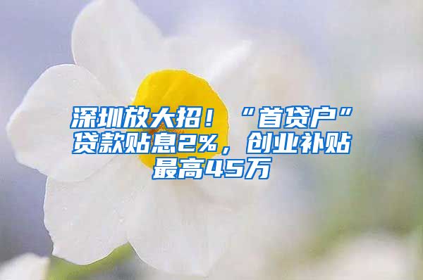 深圳放大招!“首贷户”贷款贴息2%,创业补贴最高45万