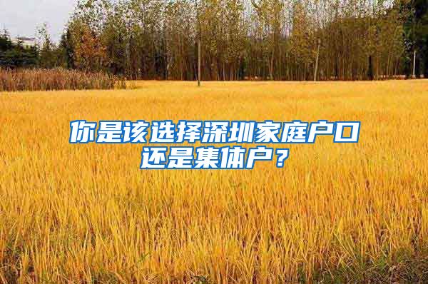 你是该选择深圳家庭户口还是集体户？