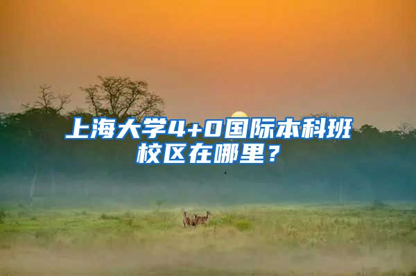上海大学4+0国际本科班校区在哪里？