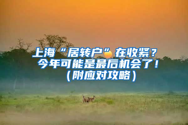 上海“居转户”在收紧？ 今年可能是最后机会了！（附应对攻略）