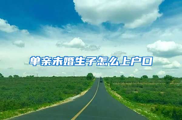 单亲未婚生子怎么上户口