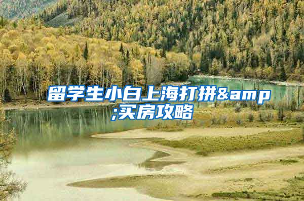留学生小白上海打拼&买房攻略