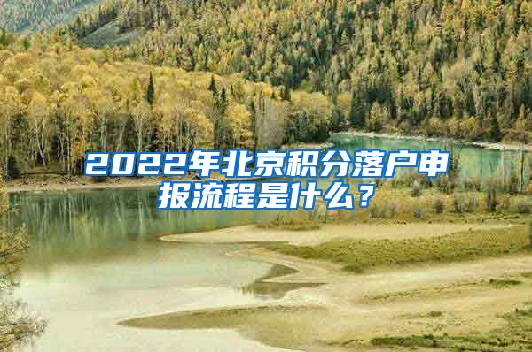 2022年北京积分落户申报流程是什么？