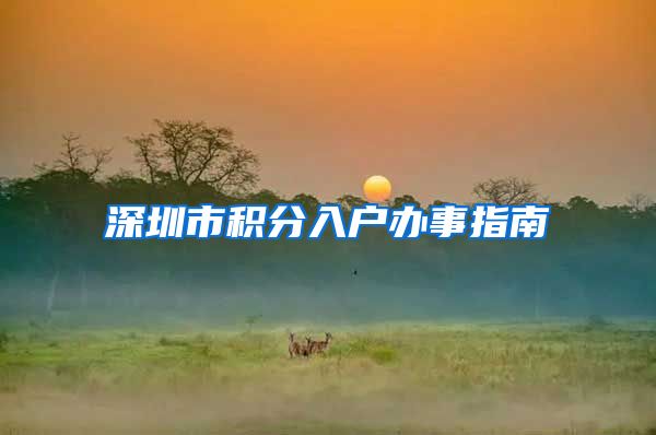 深圳市积分入户办事指南