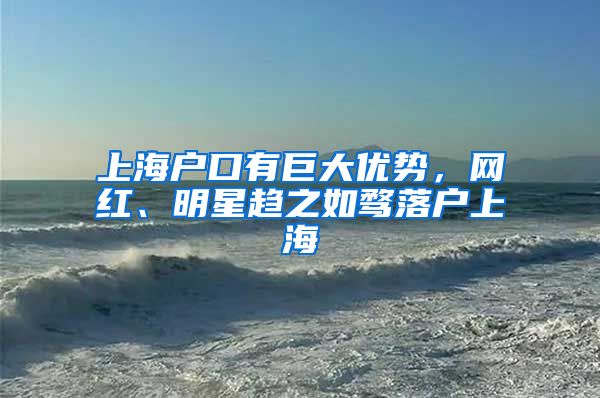 上海户口有巨大优势,网红、明星趋之如骛落户上海