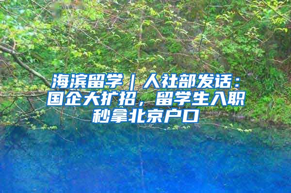 海滨留学｜人社部发话：国企大扩招，留学生入职秒拿北京户口