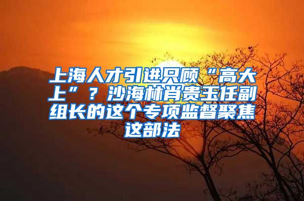 上海人才引进只顾“高大上”？沙海林肖贵玉任副组长的这个专项监督聚焦这部法