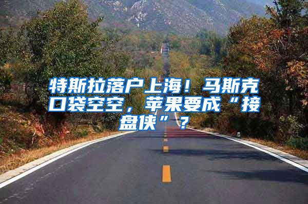 特斯拉落户上海!马斯克口袋空空,苹果要成“接盘侠”?
