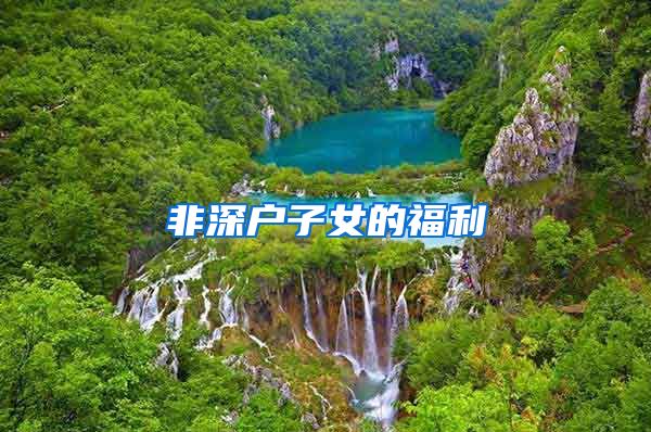 非深户子女的福利