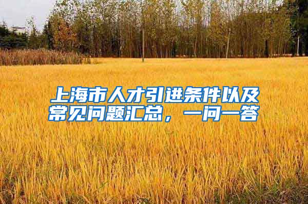 上海市人才引进条件以及常见问题汇总，一问一答