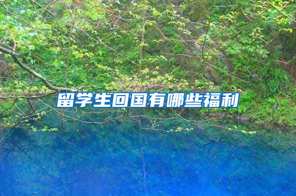 留学生回国有哪些福利