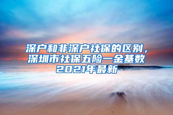 深户和非深户社保的区别,深圳市社保五险一金基数2021年最新