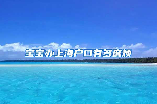 宝宝办上海户口有多麻烦