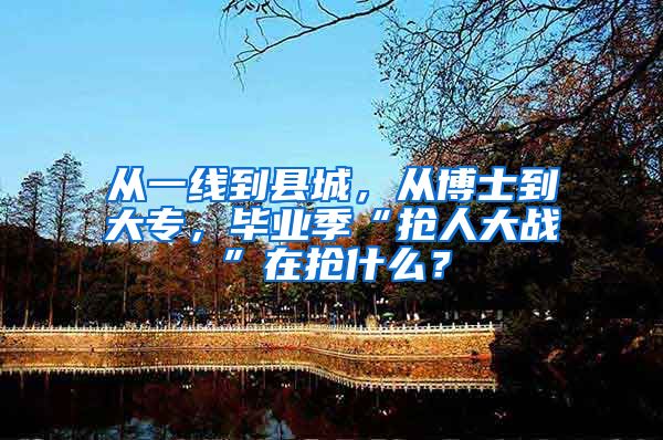 从一线到县城，从博士到大专，毕业季“抢人大战”在抢什么？