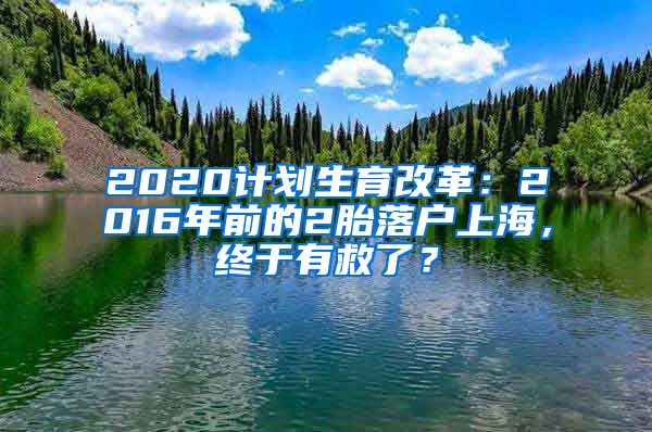 2020计划生育改革:2016年前的2胎落户上海,终于有救了?