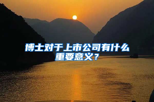 博士对于上市公司有什么重要意义？