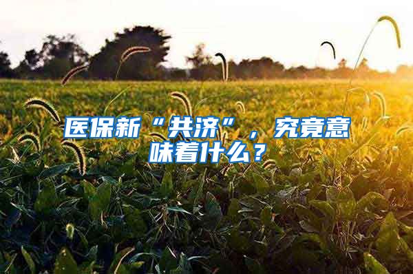 医保新“共济”，究竟意味着什么？