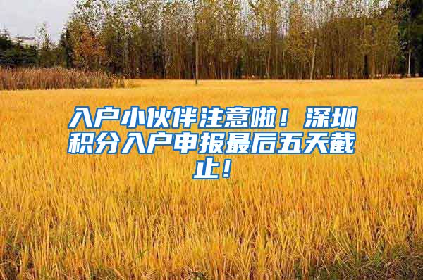 入户小伙伴注意啦！深圳积分入户申报最后五天截止！