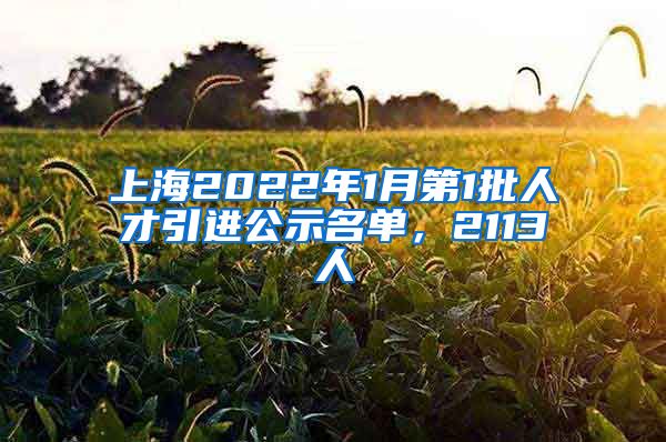 上海2022年1月第1批人才引进公示名单,2113人