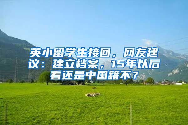英小留学生接回,网友建议:建立档案,15年以后看还是中国籍不?