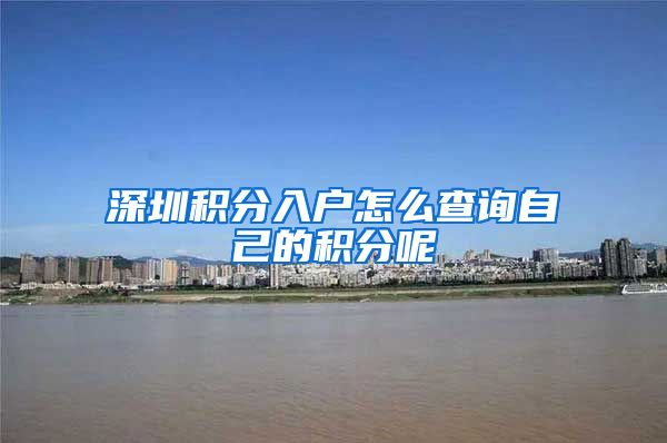深圳积分入户怎么查询自己的积分呢