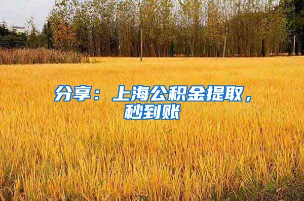 分享:上海公积金提取,秒到账