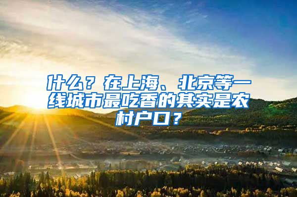 什么？在上海、北京等一线城市最吃香的其实是农村户口？