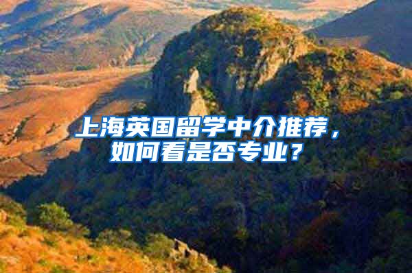 上海英国留学中介推荐，如何看是否专业？