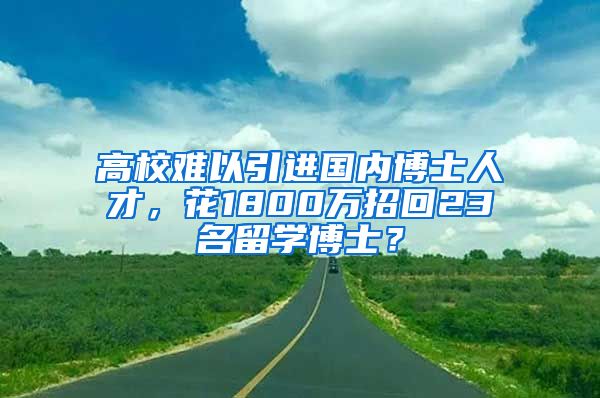 高校难以引进国内博士人才，花1800万招回23名留学博士？
