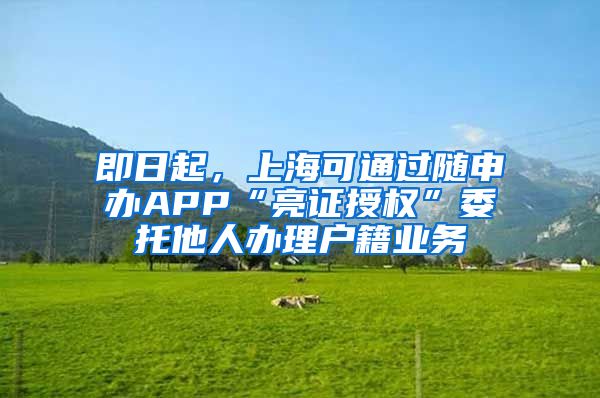 即日起,上海可通过随申办APP“亮证授权”委托他人办理户籍业务